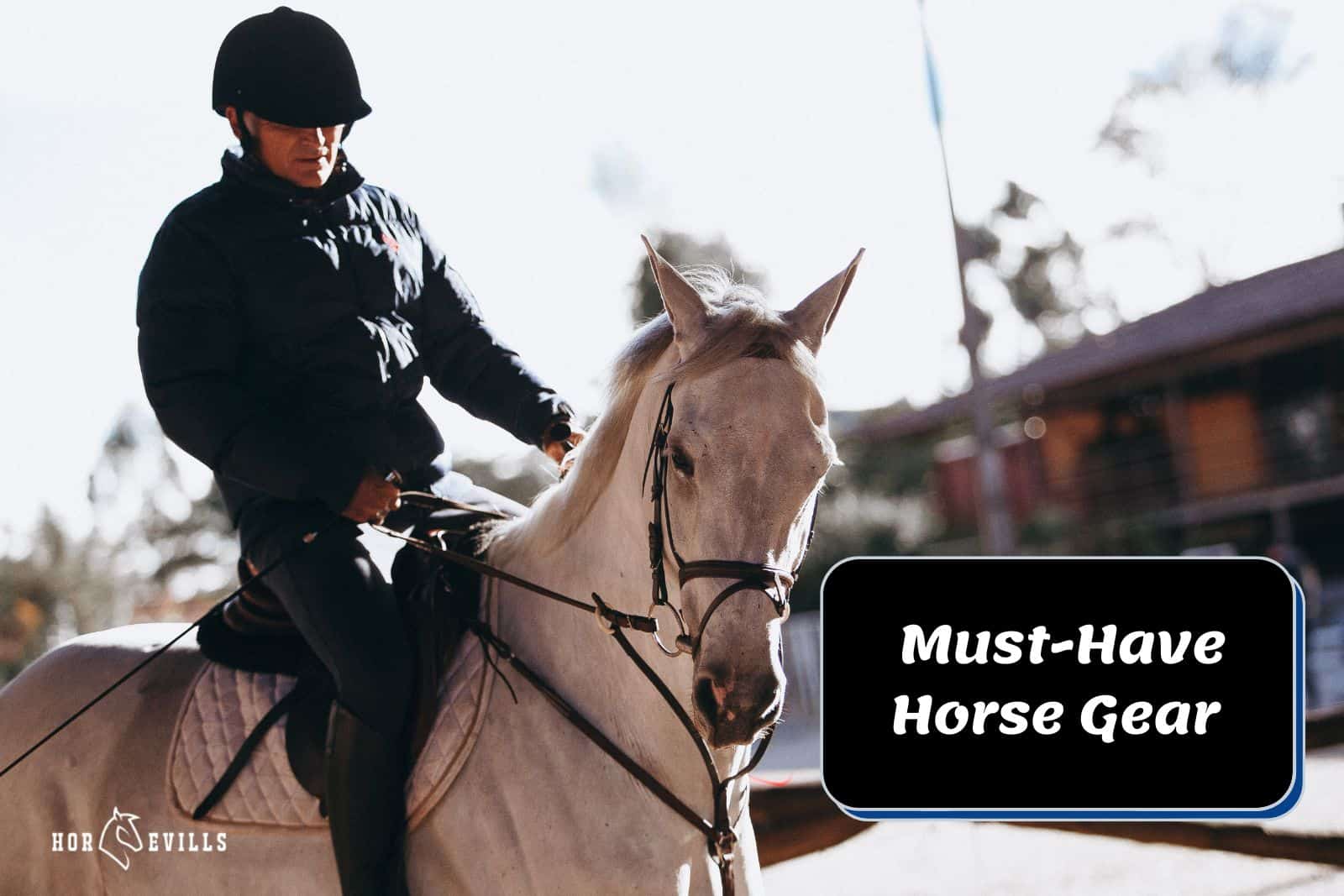12 Horse Gear Products You Can’t Live Without [Must-Have List] – My Store