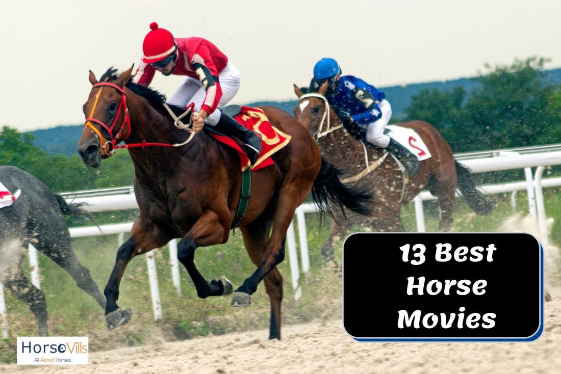 13 Must-Watch Horse Movies to Stream at Home