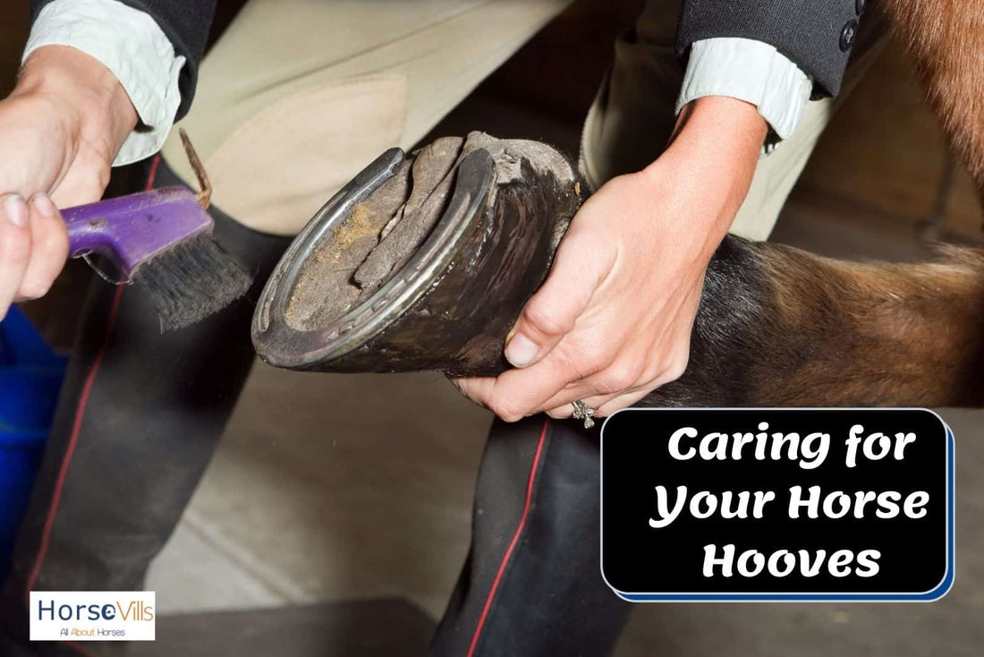 4 Ways to Keep Your Horse's Hooves Healthy