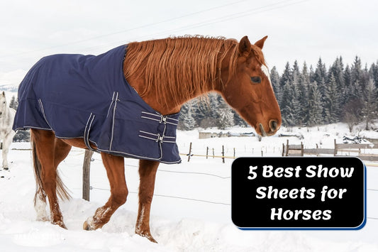 Top 5 Horse Show Sheets - Complete Buying Guide