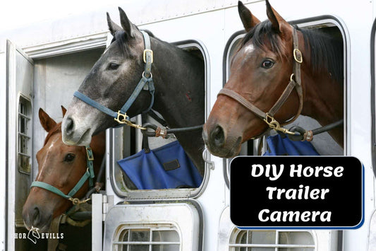 DIY Horse Trailer Camera [Why You Need It & Step By Step Guide]