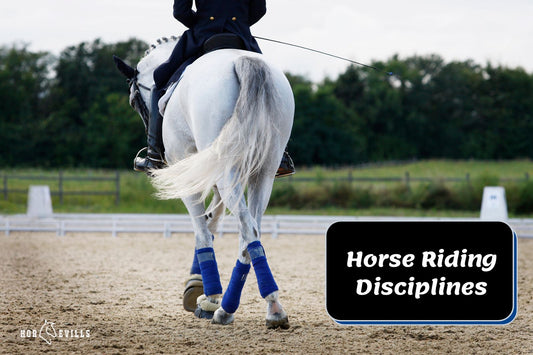 What Are The Different Horse Riding Disciplines? (31 Explained)