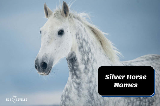 310 Powerful Silver Horse Names for Mares &amp; Stallions