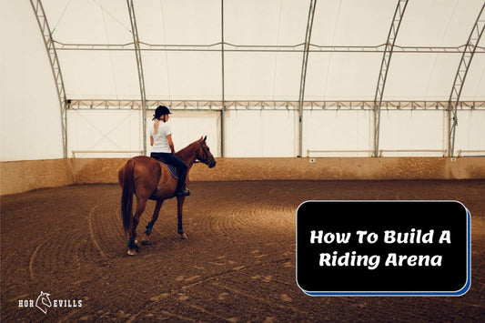 How To Build A Riding Arena in 10 Easy Steps (Experts Guide)