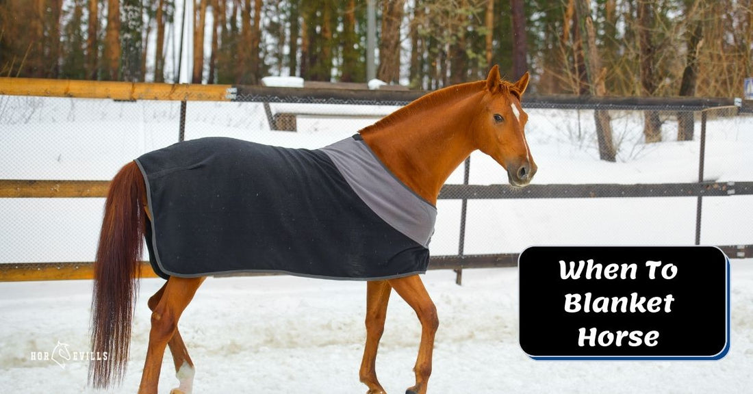 7 Factors to Consider When Blanketing a Horse