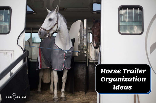 10 Horse Trailer Organization Ideas You Can Try Today!