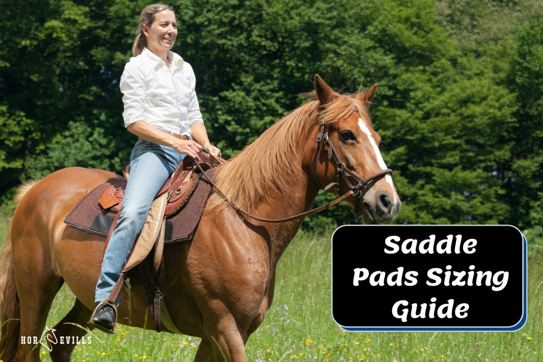 Saddle Pad Size Guide Choosing the Right One My Store