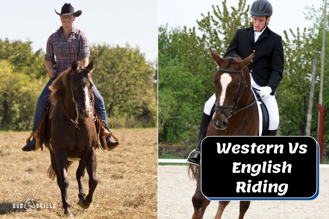 What is the Difference Between English and Western Riding?