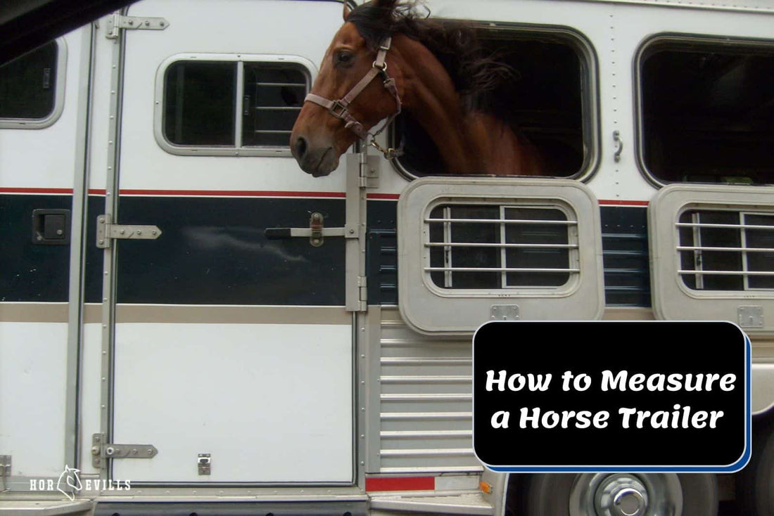 How to Measure a Horse Trailer [Step-by-Step Guide & Tips]