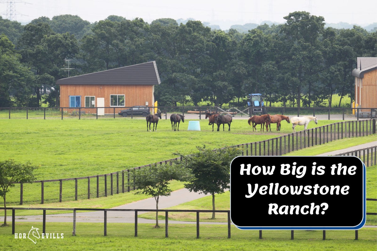 How Big is the Yellowstone Ranch? Is it Even REAL? [FACTS] – My Store