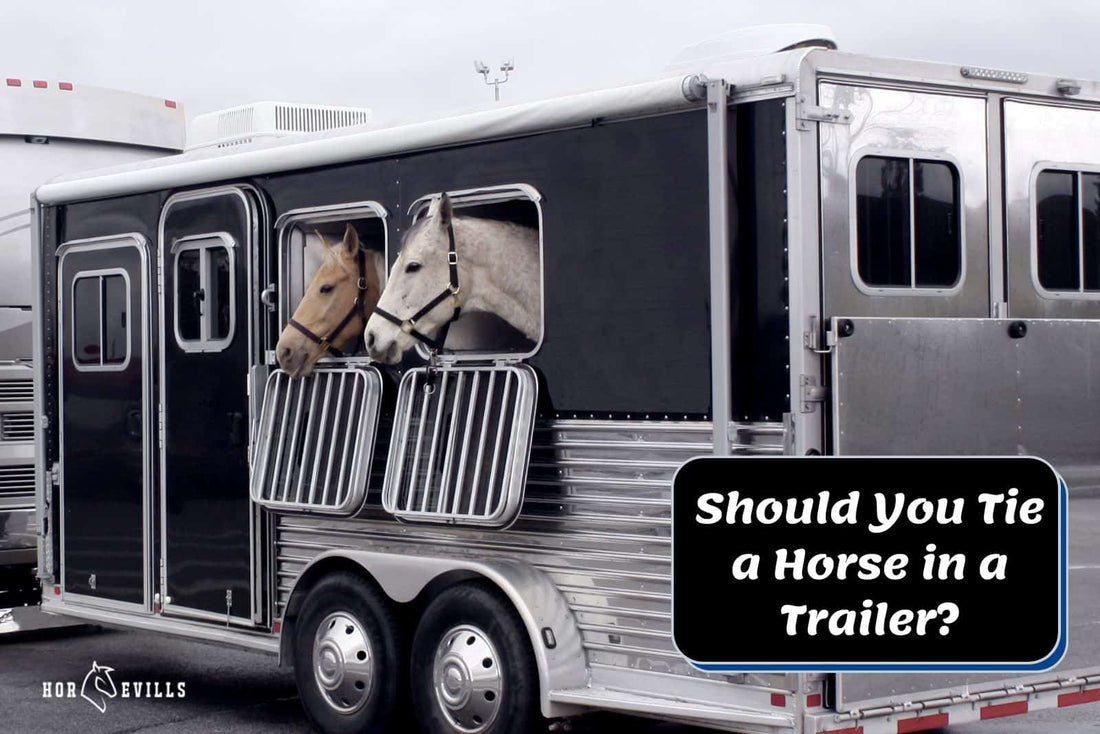 Should You Tie a Horse in a Trailer? Pros, Cons & Pro Tips