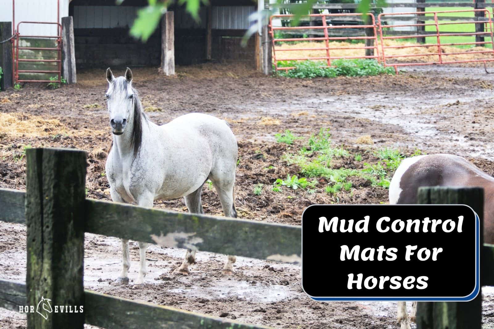 Mud Control Mats For Horses - Are They Really Worth It? – My Store