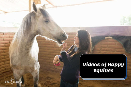 3 Hilarious Horse Videos of Happy Equines | Watch Now!