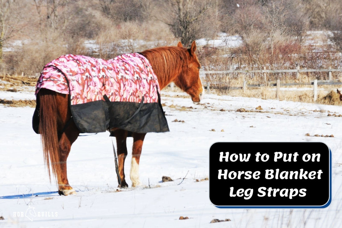 How to Put on Horse Blanket Leg Straps? (7 Easy Steps)