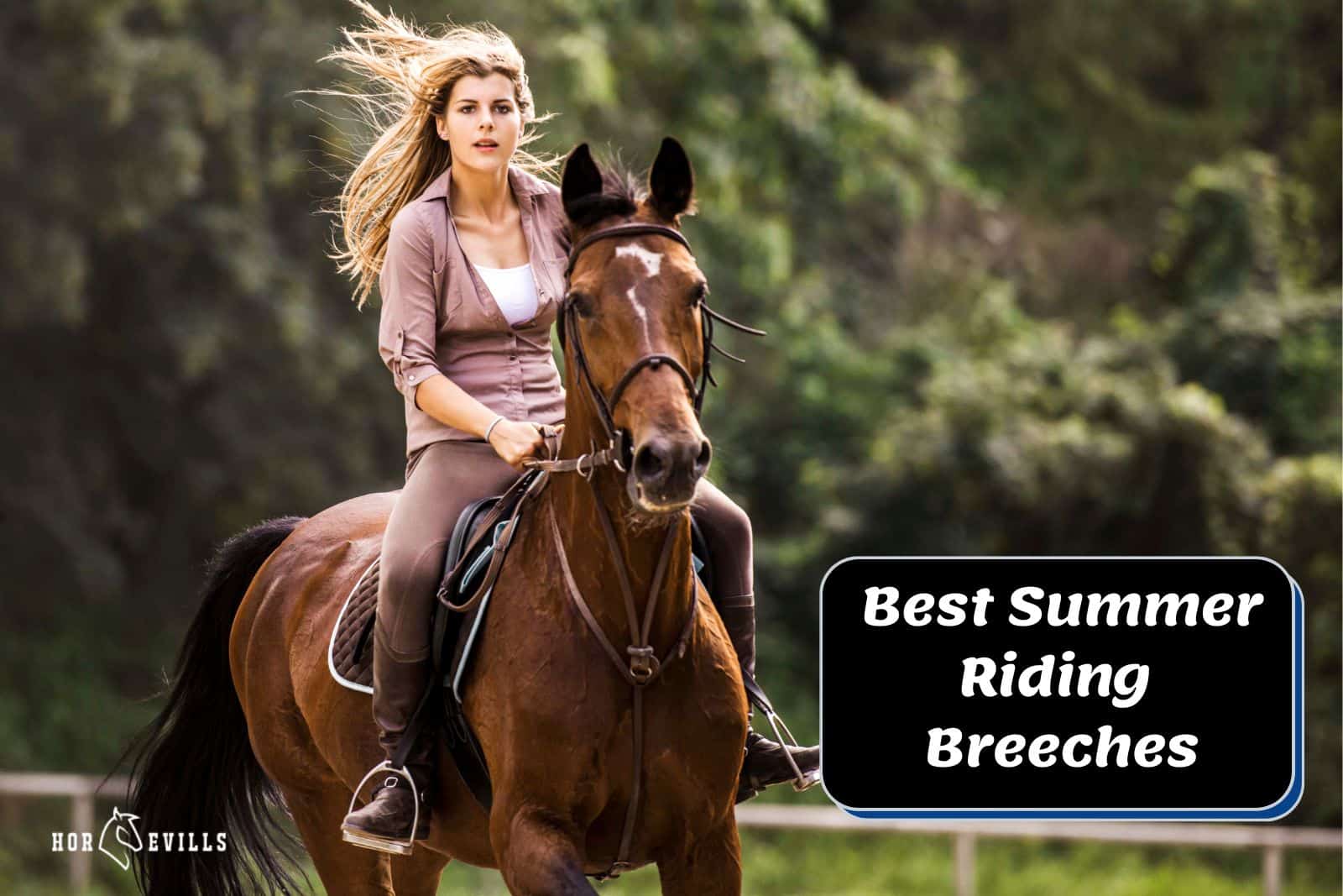 13 Best Summer Riding Breeches (April 2024 Update) – My Store