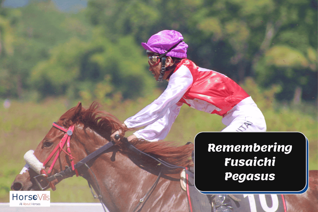 Remembering Fusaichi Pegasus: A Legendary Kentucky Derby Champion