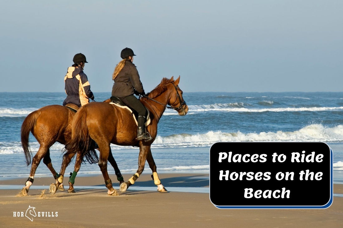 Nice Place Rode 11 Great Places to Ride Horses on the Beach and Have Fun! – My Store