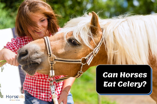 Can Horses Eat Celery, Cabbage, and Lettuce? Are They Safe?