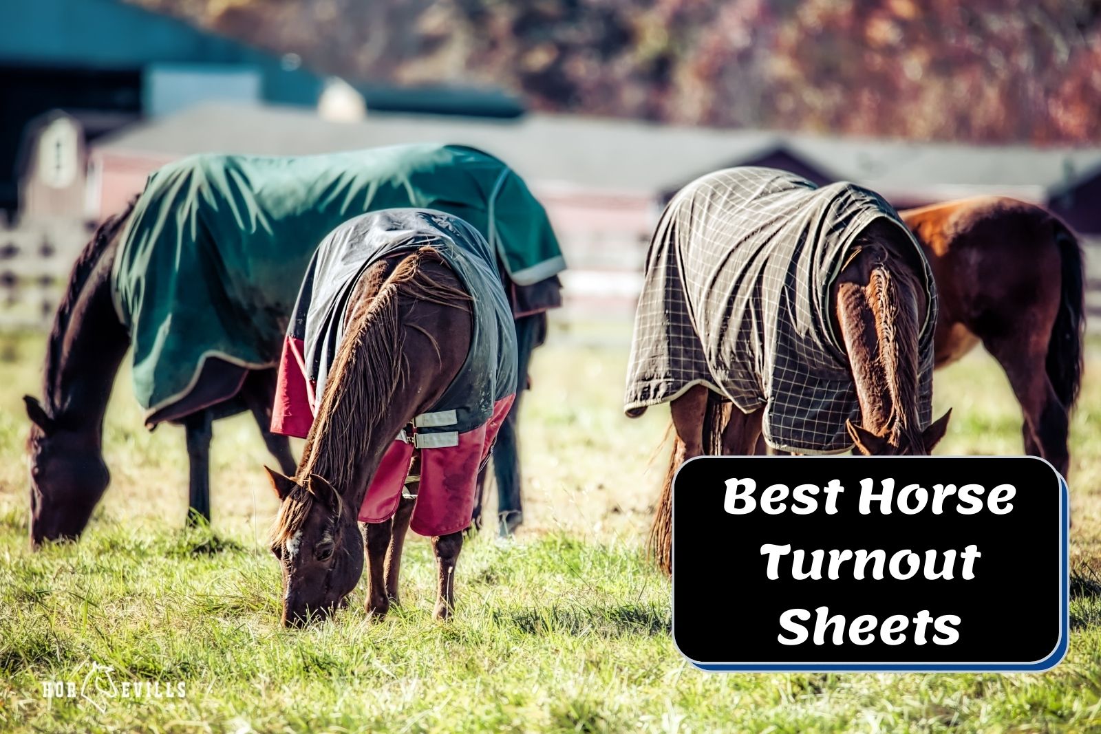 Turnout Sheet Pattern 8 Best Horse Turnout Sheets (Equestrian Expert Review) – My Store
