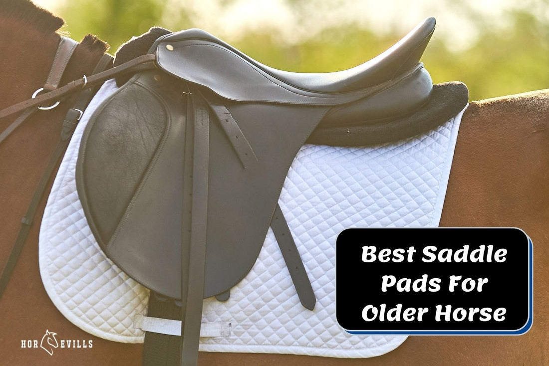 7 Best Saddle Pad For Older Horses (Expert Review)