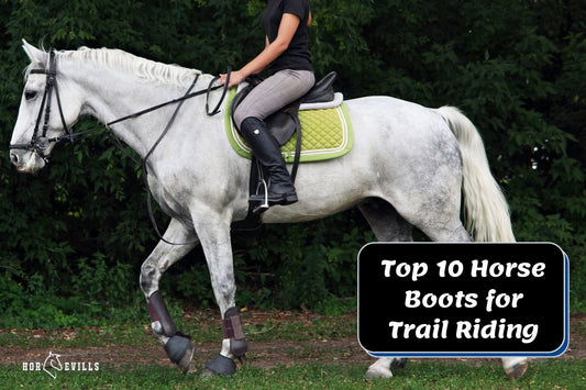 Top 10 Horse Boots for Trail Riding (Review Guide)