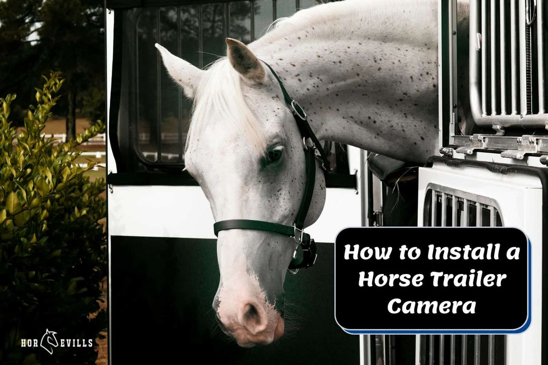 How to Install a Horse Trailer Camera? [Step-by-Step Guide]