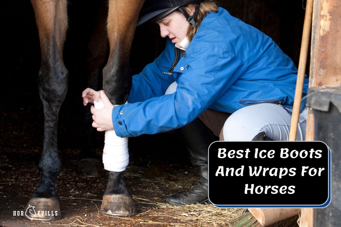 10 Best Ice Boots And Wraps For Horses In 2024- Expert Reveals