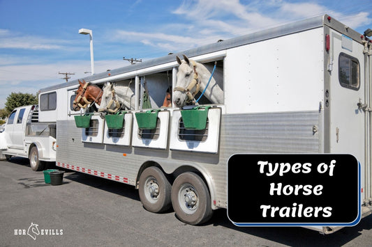 What Are the Different Types Of Horse Trailers?