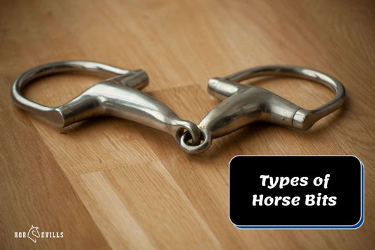 16 Most Common Types of Horse Bits [English &amp; Western]