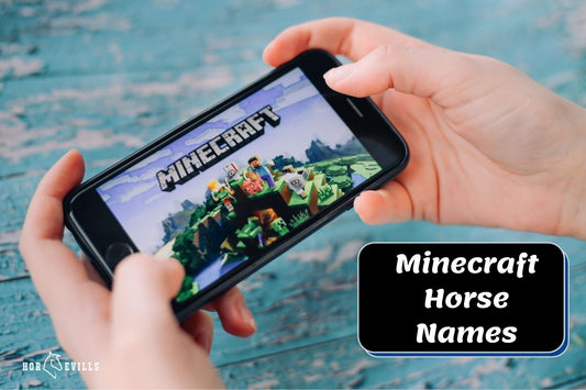 500 Amazing Minecraft Horse Name Ideas