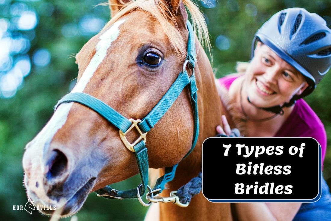 7 Different Types of Bitless Bridles