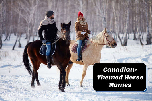 100+ Canadian-Themed Horse Names: Unleash Your National Pride