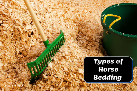 7 Types of Horse Bedding: What Experts Recommend!