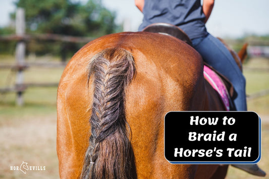 How to Braid a Horse's Tail: 3 Classic Styles (Step-by-Step)