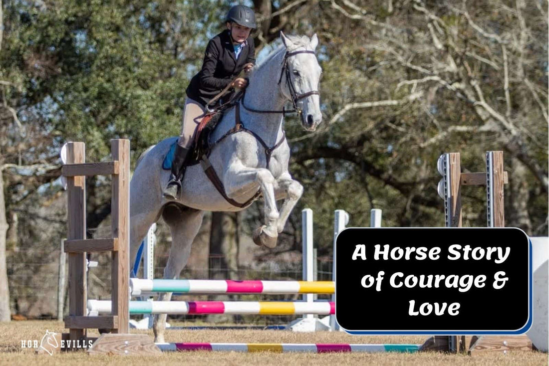 Hero's Journey: Unforgettable Horse Story of Courage &amp; Love