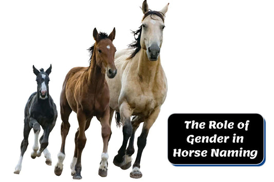 The Role of Gender in Horse Naming: A Shift from Tradition