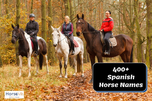 400+ Dazzling Spanish Horse Names