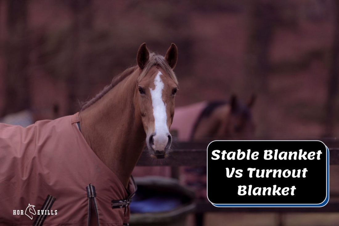 What is the Difference Between Stable and Turnout Blankets?