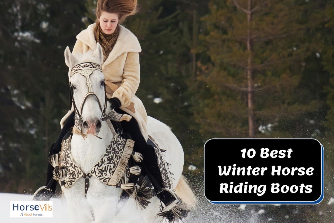 Best Winter Horseback Riding Boots: Top 10 Picks