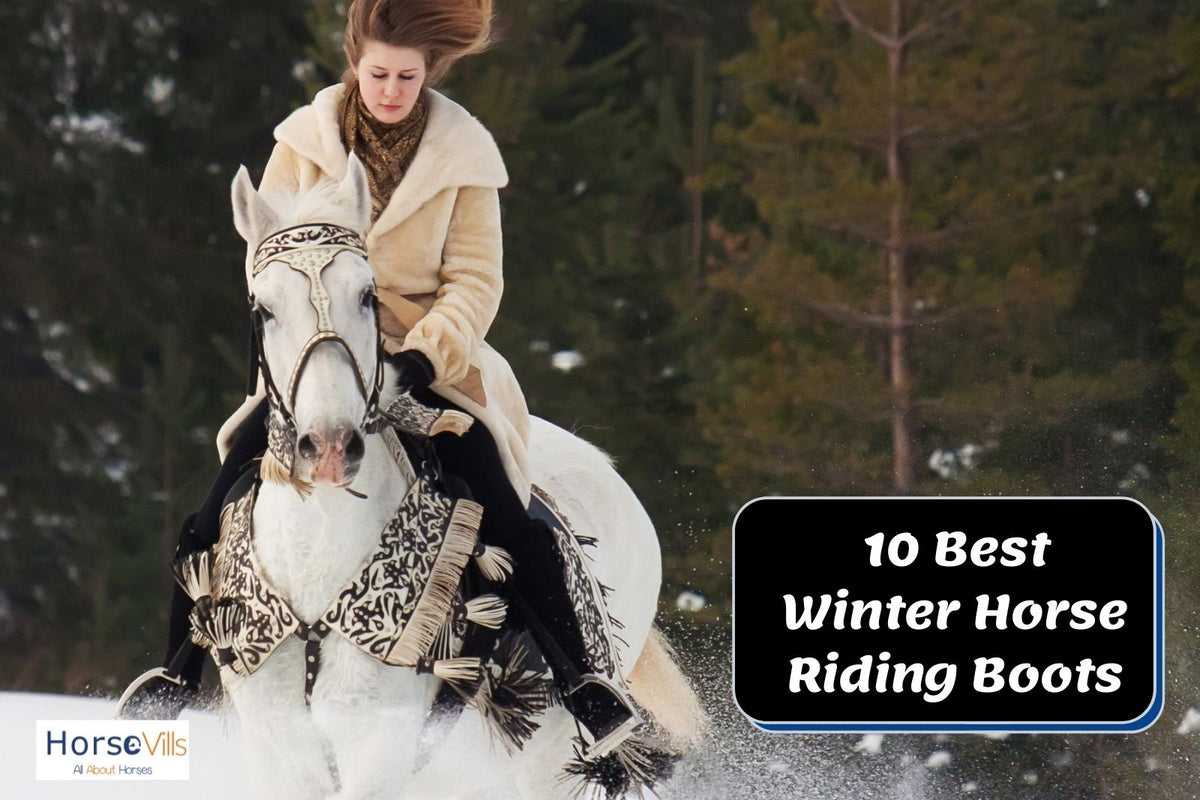 Best Winter Horseback Riding Boots: Top 10 Picks – My Store