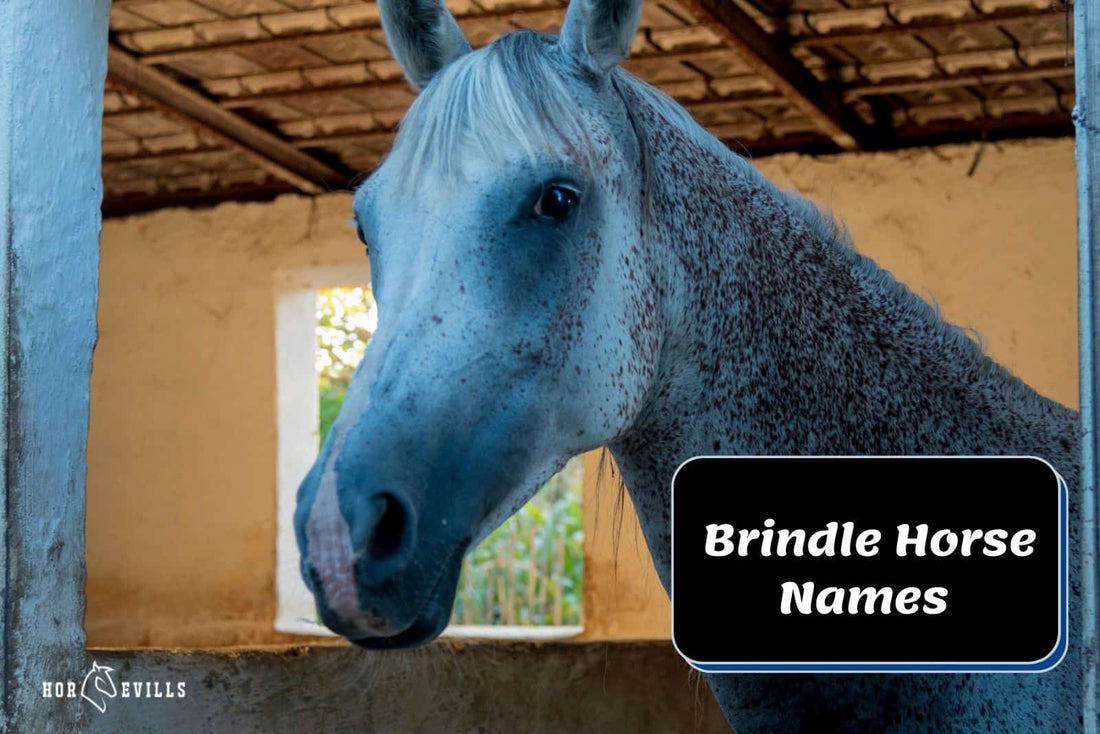 150+ Brindle Horse Names: Unique &amp; Meaningful Ideas