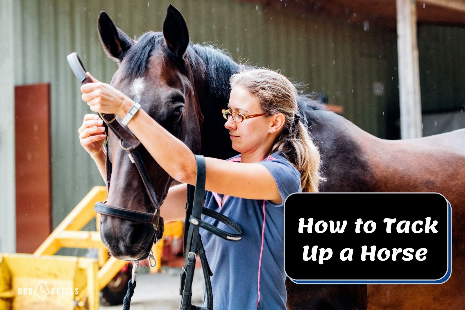 How To Tack Up a Horse - Guide For English & Western Riders – My Store