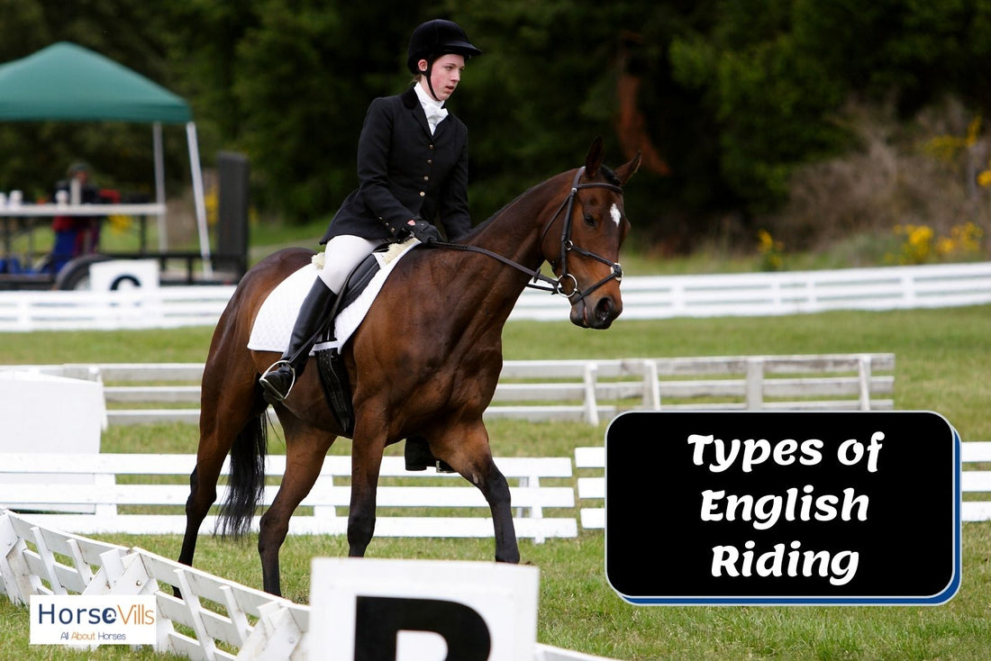 English Ritiing Style 6 English Riding Disciplines for Every Equestrian โ My Store