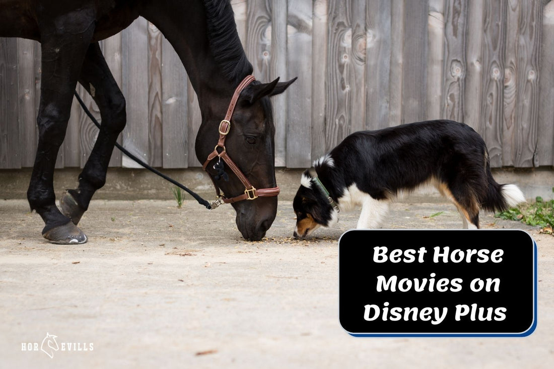 8 of the Best Horse Movies on Disney Plus (Must-Watch!)