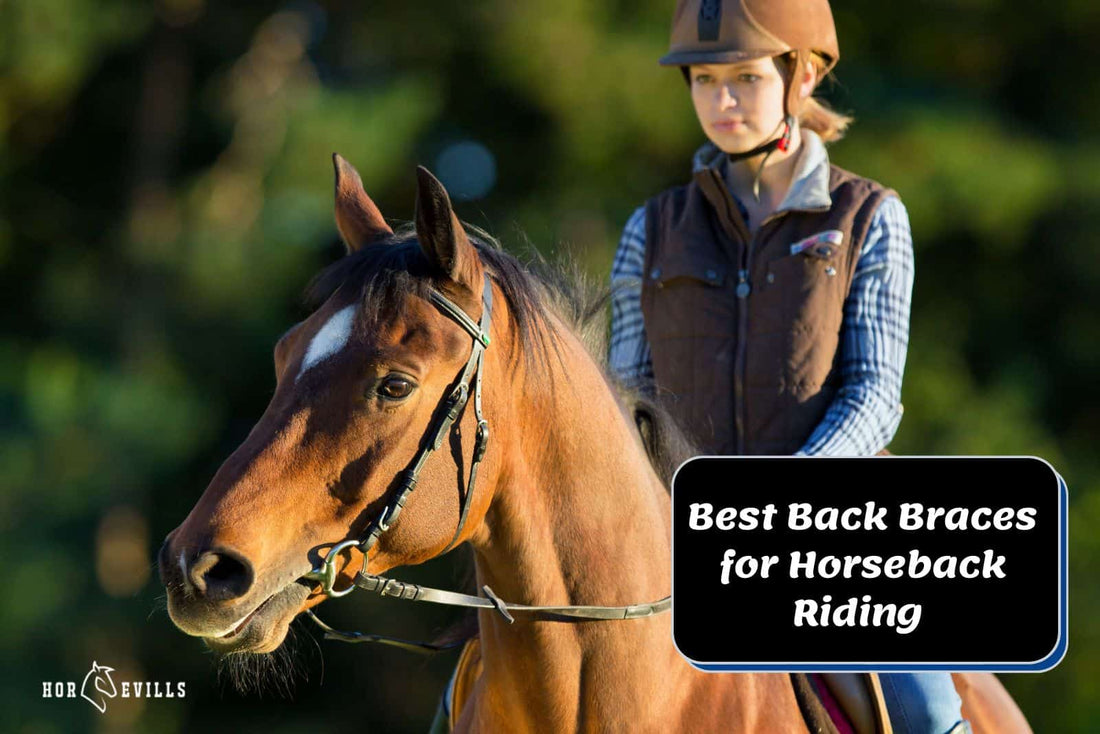 Top 9 Back Braces for Horseback Riding in 2024 [Expert Review]