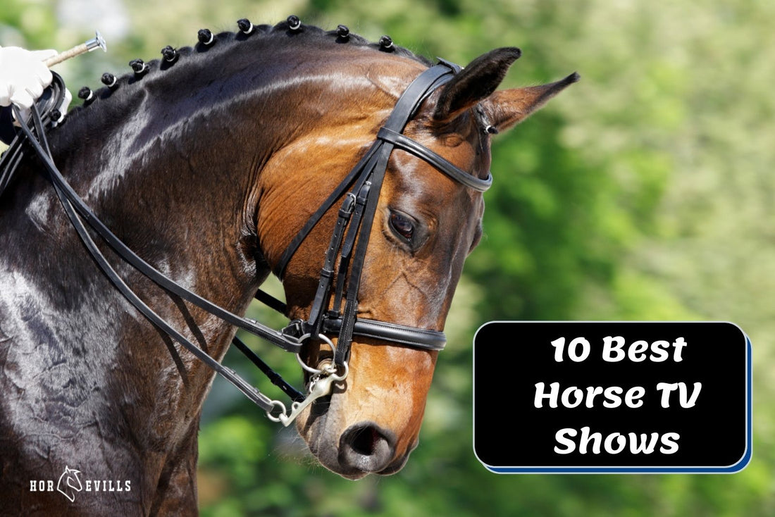 10 Must-Watch Horse TV Shows to Add to Your List