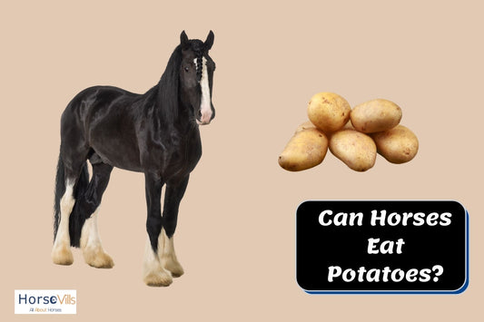 Can Horses Eat Potatoes? Are They Safe?