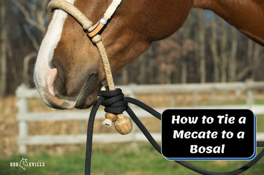 How to Tie a Mecate to a Bosal (A Simple and Secure Method)