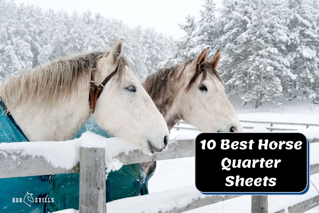 Top 7 Quarter Sheets for Horses for 2024 Review