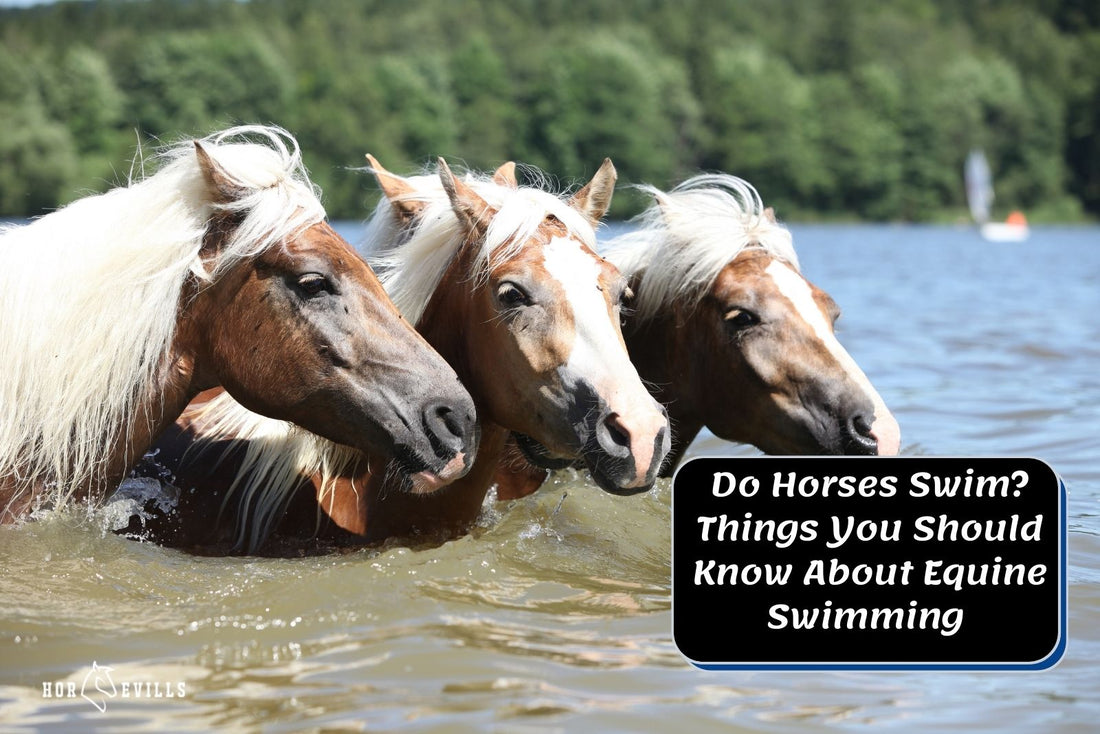 Do Horses Swim? [Everything to Know About Equine Swimming